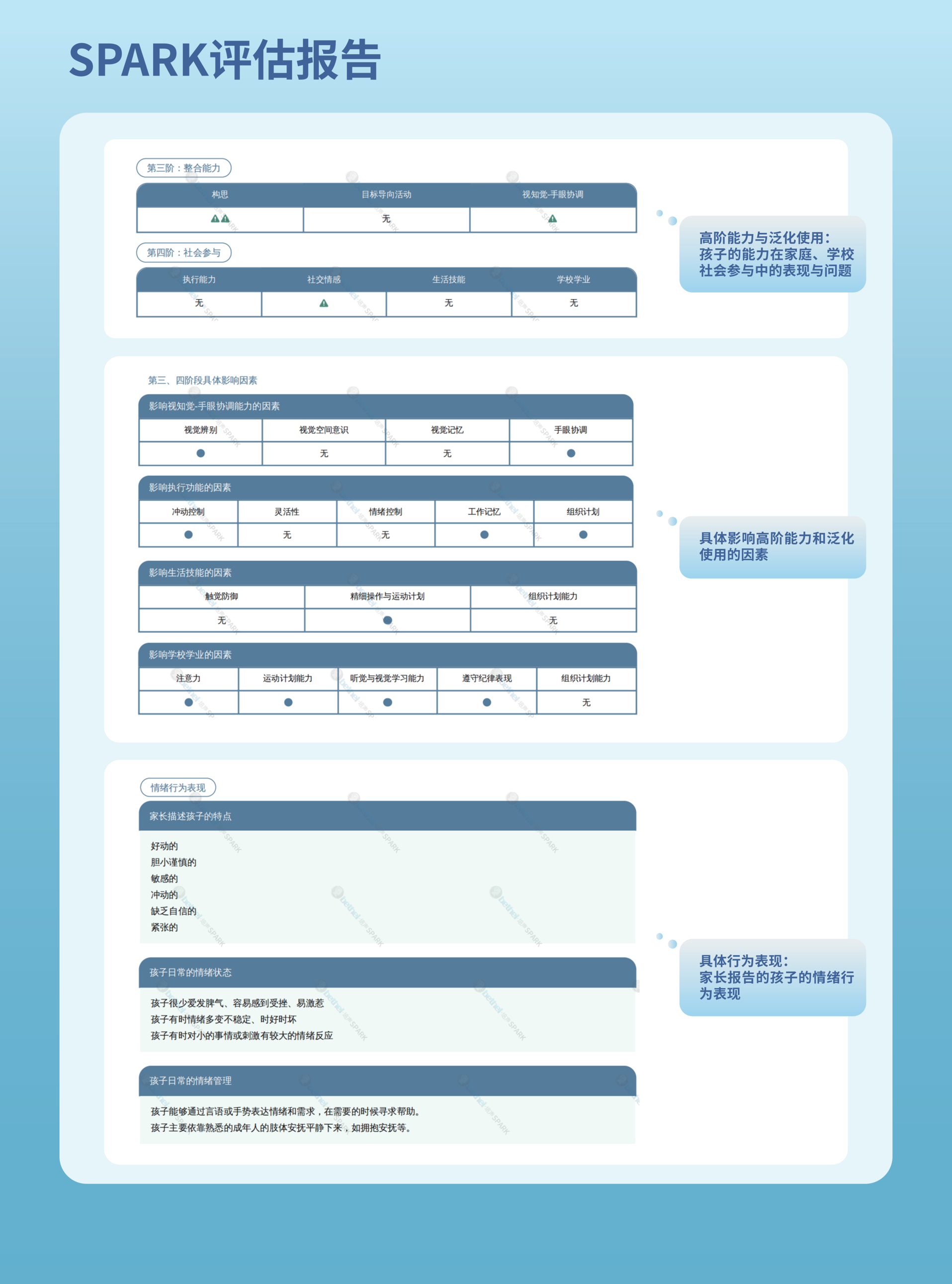 DREAM-S Assessment Report - Fail